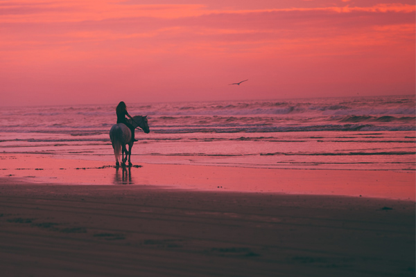 beach-horse-riding-crete